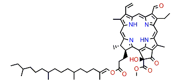 (13(2)-S)-Hydroxyphaeophytin B